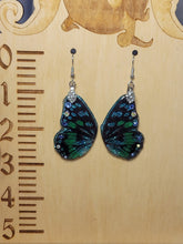 Load image into Gallery viewer, Blue and Green Butterfly Wing Earrings - Medium