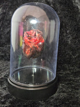 Load image into Gallery viewer, Mummified Heart