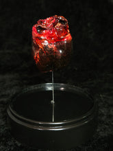 Load image into Gallery viewer, Mummified Heart