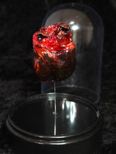 Load image into Gallery viewer, Mummified Heart