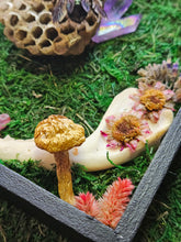 Load image into Gallery viewer, Shadow Box - Jaw bones with Flowers and Bees