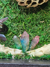 Load image into Gallery viewer, Shadow Box - Jaw bones with Flowers and Bees