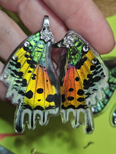 Load image into Gallery viewer, Madagascar Sunet Moth Earrings