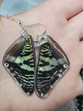 Load image into Gallery viewer, Madagascar Sunet Moth Earrings