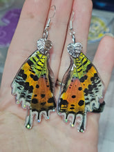 Load image into Gallery viewer, Madagascar Sunet Moth Earrings