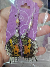 Load image into Gallery viewer, Madagascar Sunet Moth Earrings