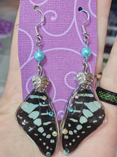 Load image into Gallery viewer, Real Butterfly Wing Earrings - Graphium policenes