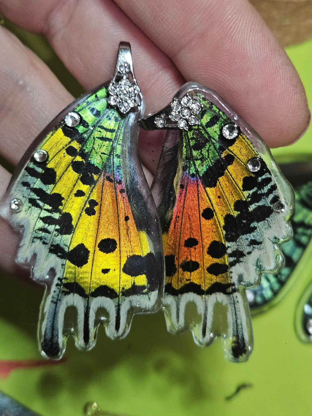 Madagascar Sunet Moth Earrings