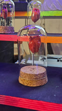 Load image into Gallery viewer, Mummified Heart
