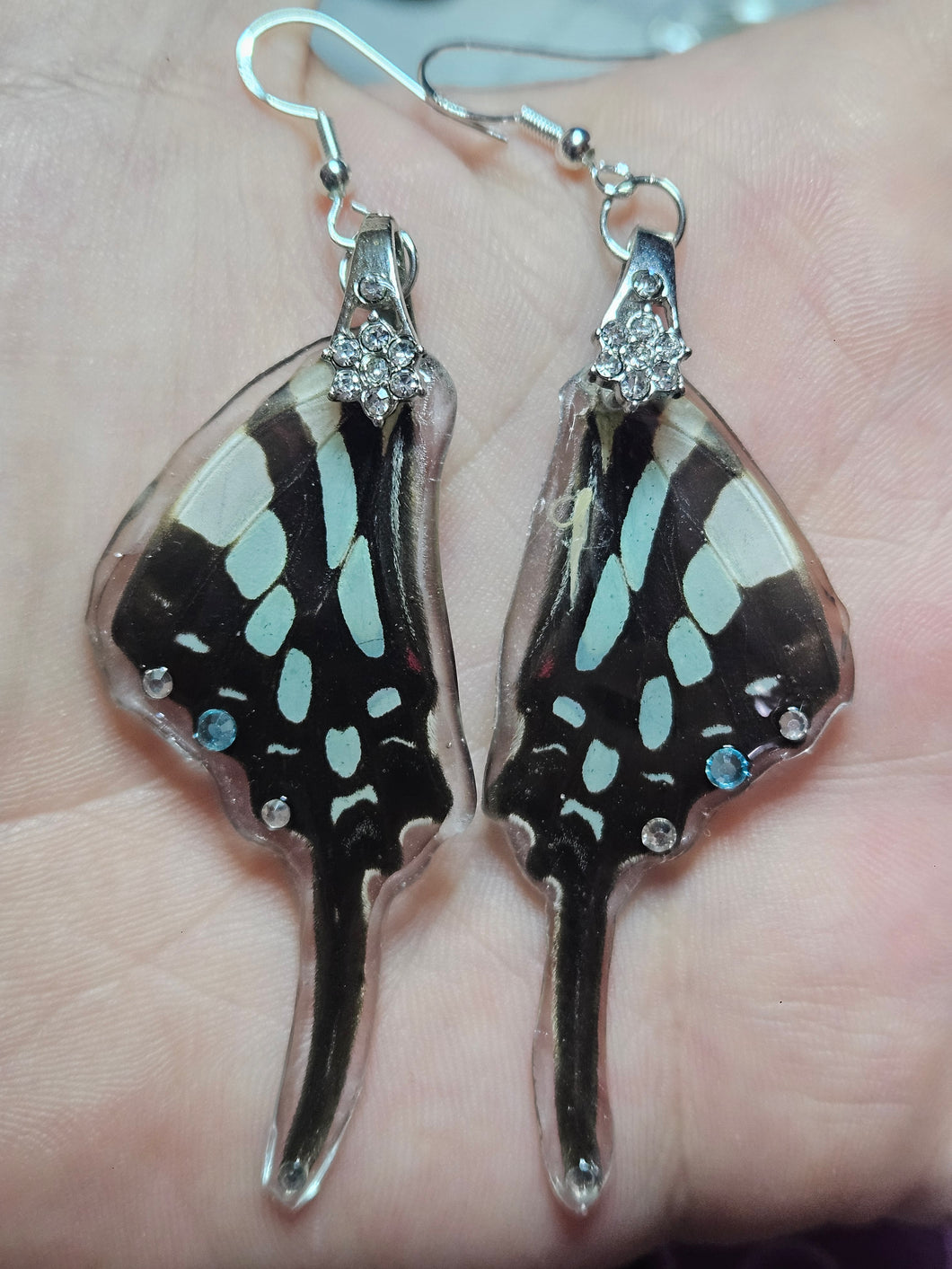 Real Butterfly Wing Earrings - Graphium policenes