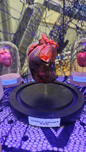 Load image into Gallery viewer, Mummified Heart
